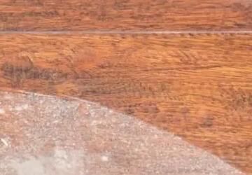 家里灰塵的主要來源有哪些方面呢？